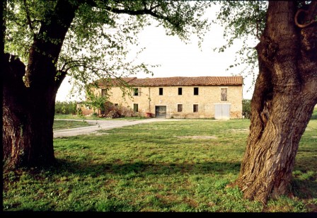 Campagna-di-Solarolo